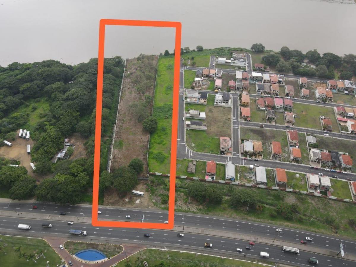 Macrolote, Guayas — imagen 5