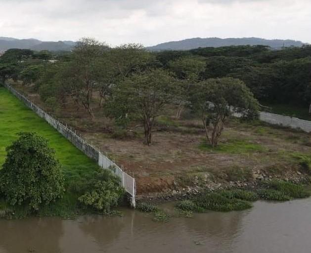 Macrolote, Guayas — imagen 3