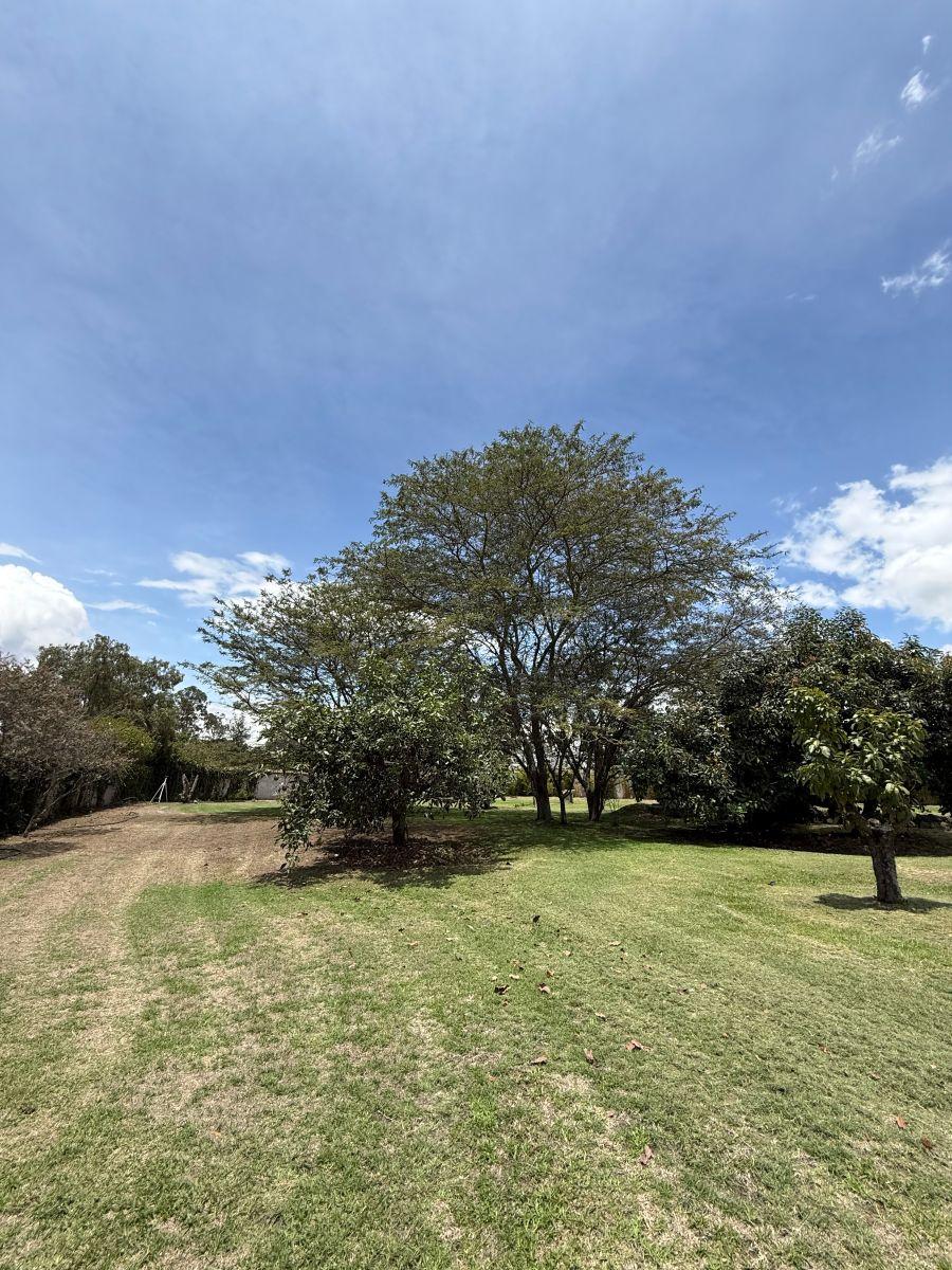 Vendo Excelente Terreno Sector Hilacril Tumbaco — imagen 10