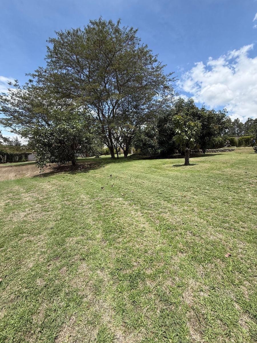 Vendo Excelente Terreno Sector Hilacril Tumbaco — imagen 9