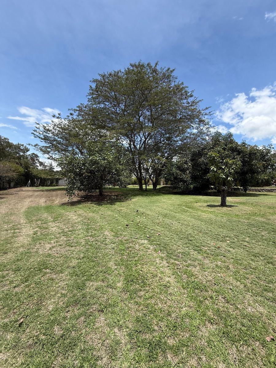 Vendo Excelente Terreno Sector Hilacril Tumbaco — imagen 8