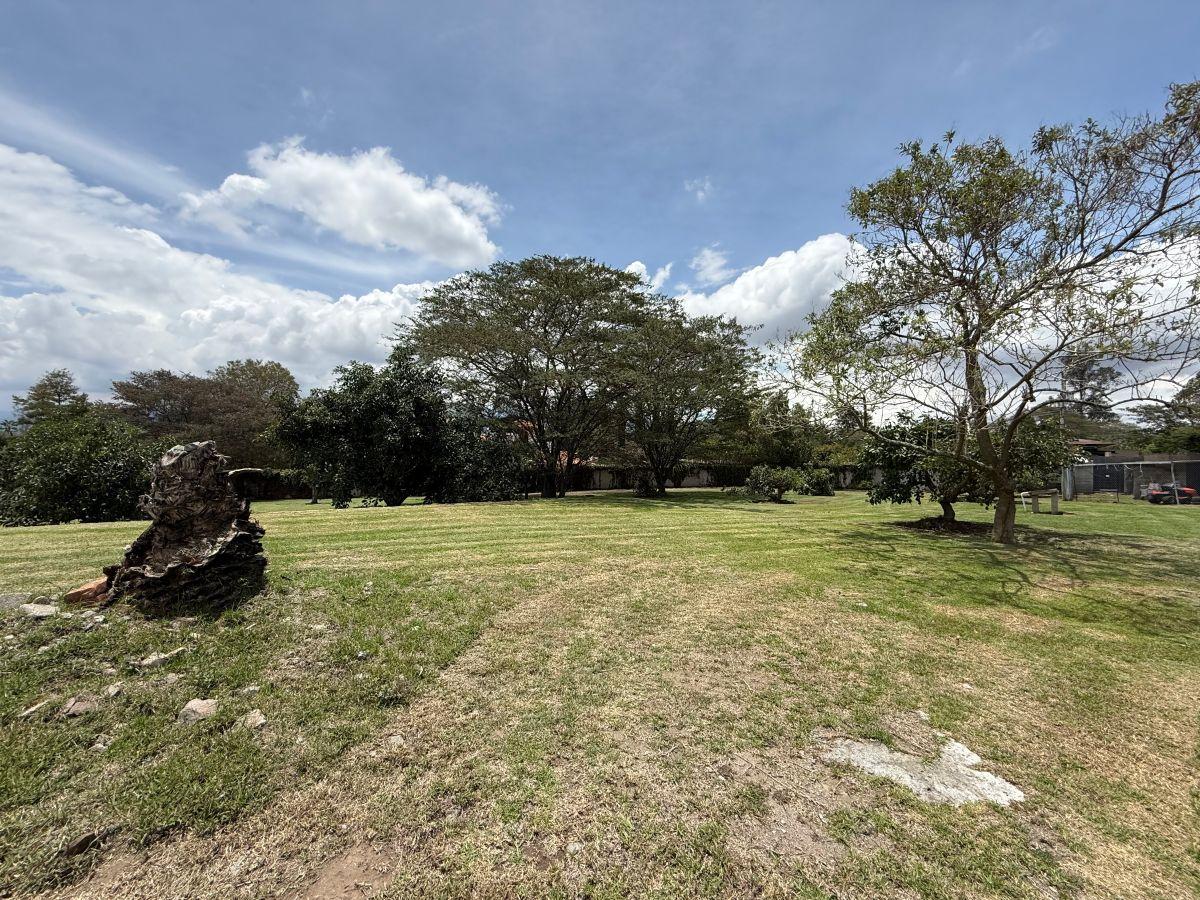 Vendo Excelente Terreno Sector Hilacril Tumbaco — imagen 7