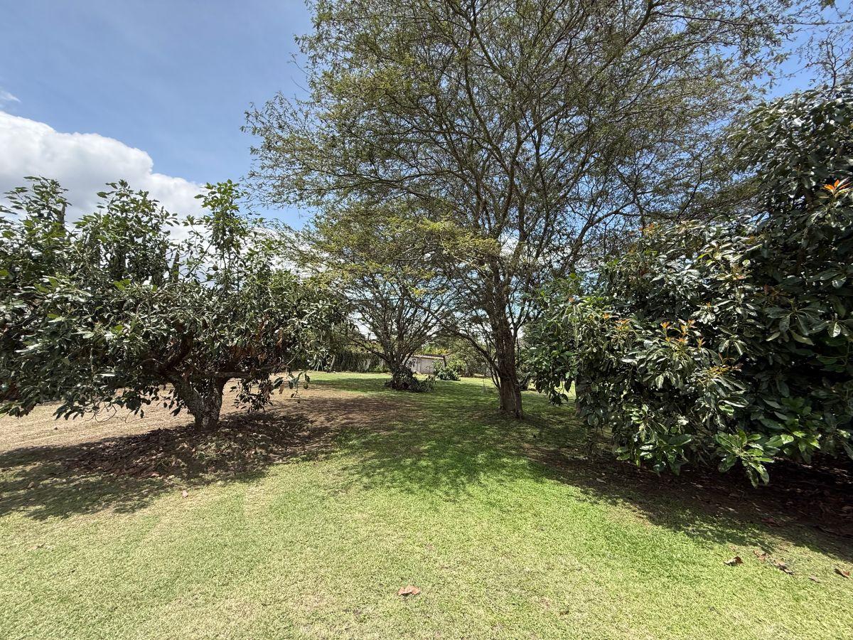Vendo Excelente Terreno Sector Hilacril Tumbaco — imagen 6