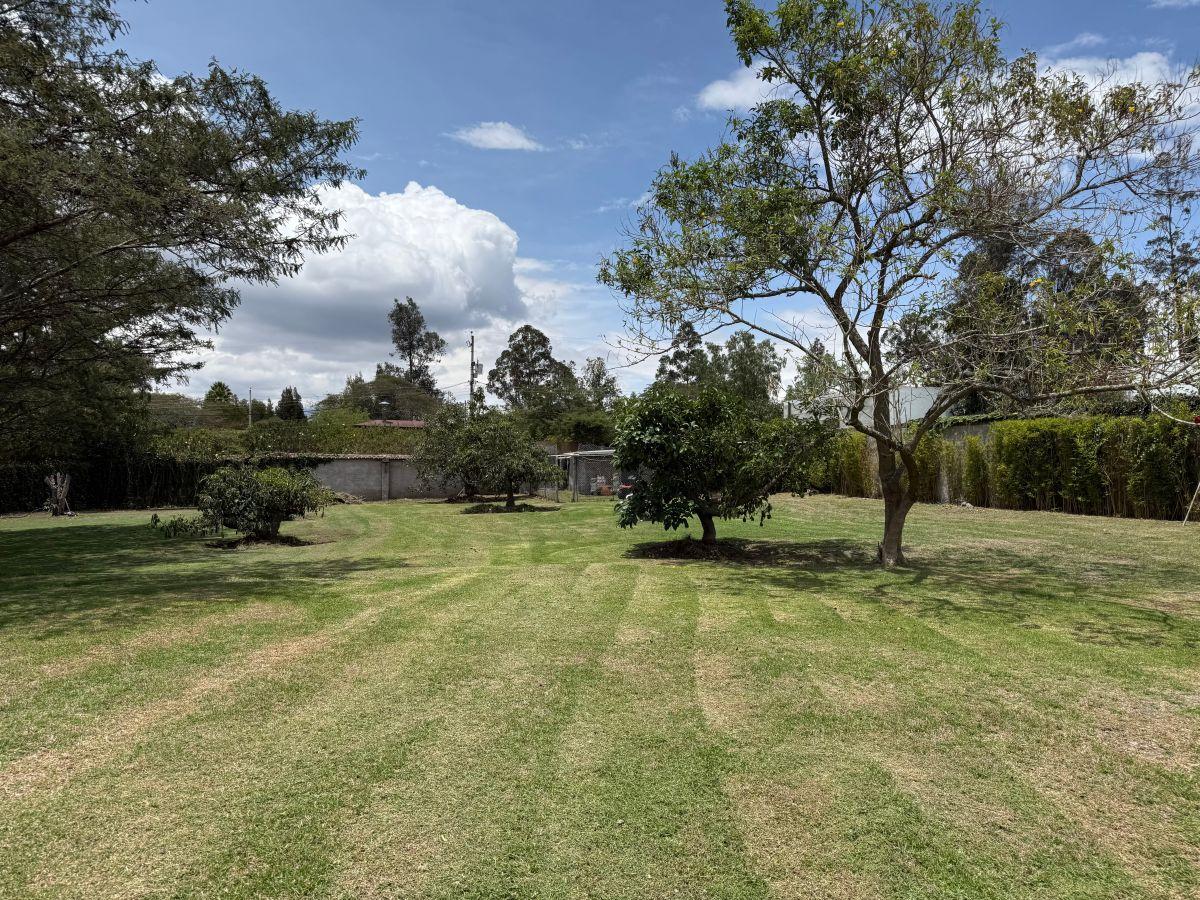 Vendo Excelente Terreno Sector Hilacril Tumbaco — imagen 4
