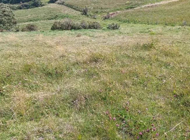 Terreno de Venta en Olmedo Pesillo Cayambe, Imbabura — imagen 10