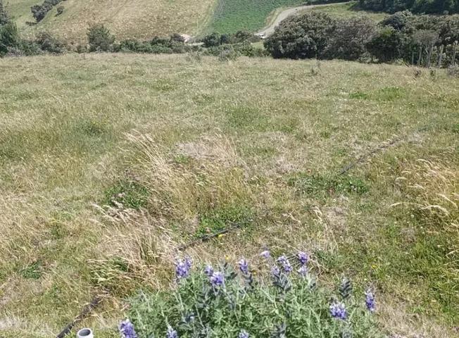 Terreno de Venta en Olmedo Pesillo Cayambe, Imbabura — imagen 9