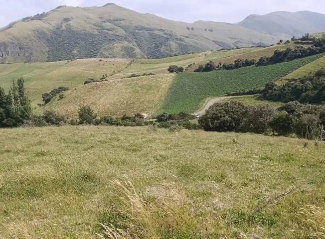 Terreno de Venta en Olmedo Pesillo Cayambe, Imbabura — imagen 8