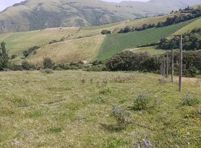 Terreno de Venta en Olmedo Pesillo Cayambe, Imbabura — imagen 7
