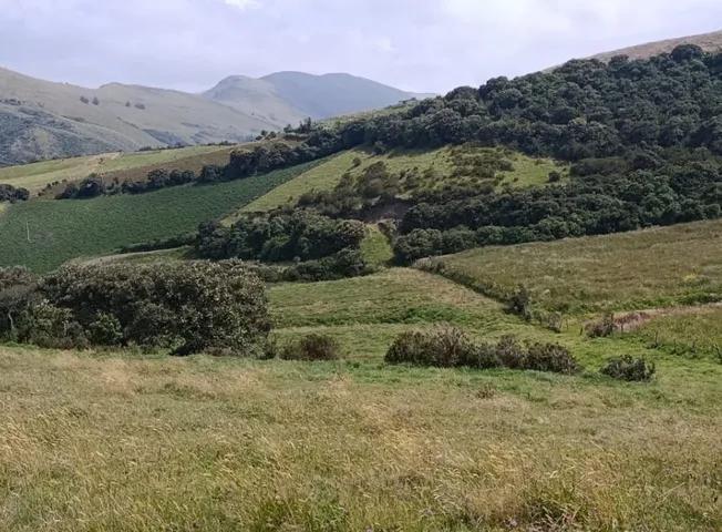 Terreno de Venta en Olmedo Pesillo Cayambe, Imbabura — imagen 6