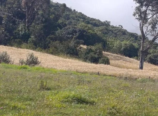 Terreno de Venta en Olmedo Pesillo Cayambe, Imbabura — imagen 3