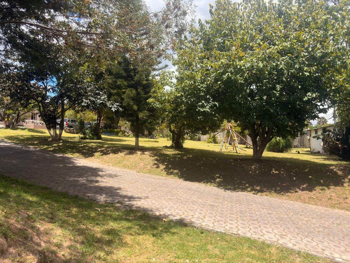 Terreno de 2300 m² en Venta en Cumbayá Calle Ceibos Cerca del Parque de Cumbaya — imagen 9