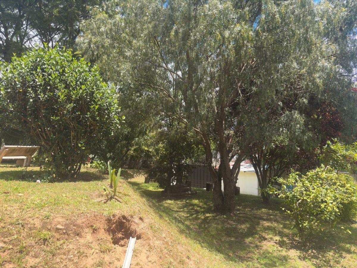 Terreno de 2300 m² en Venta en Cumbayá Calle Ceibos Cerca del Parque de Cumbaya — imagen 7