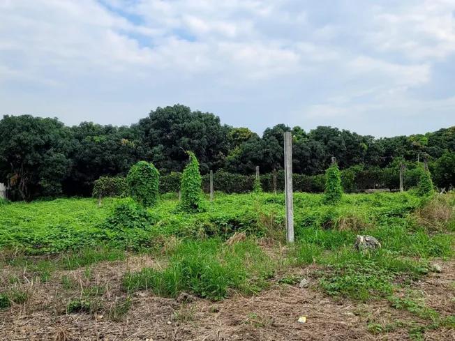 Terreno en Posorja Se Vende Macro Lote de 242 Has Cerca a Dp World, Guayas — imagen 5