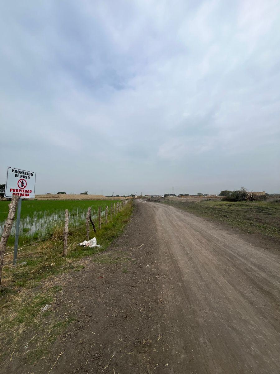 Terreno Vía Al Pan Junto a Zentra Numa, Guayas — imagen 8