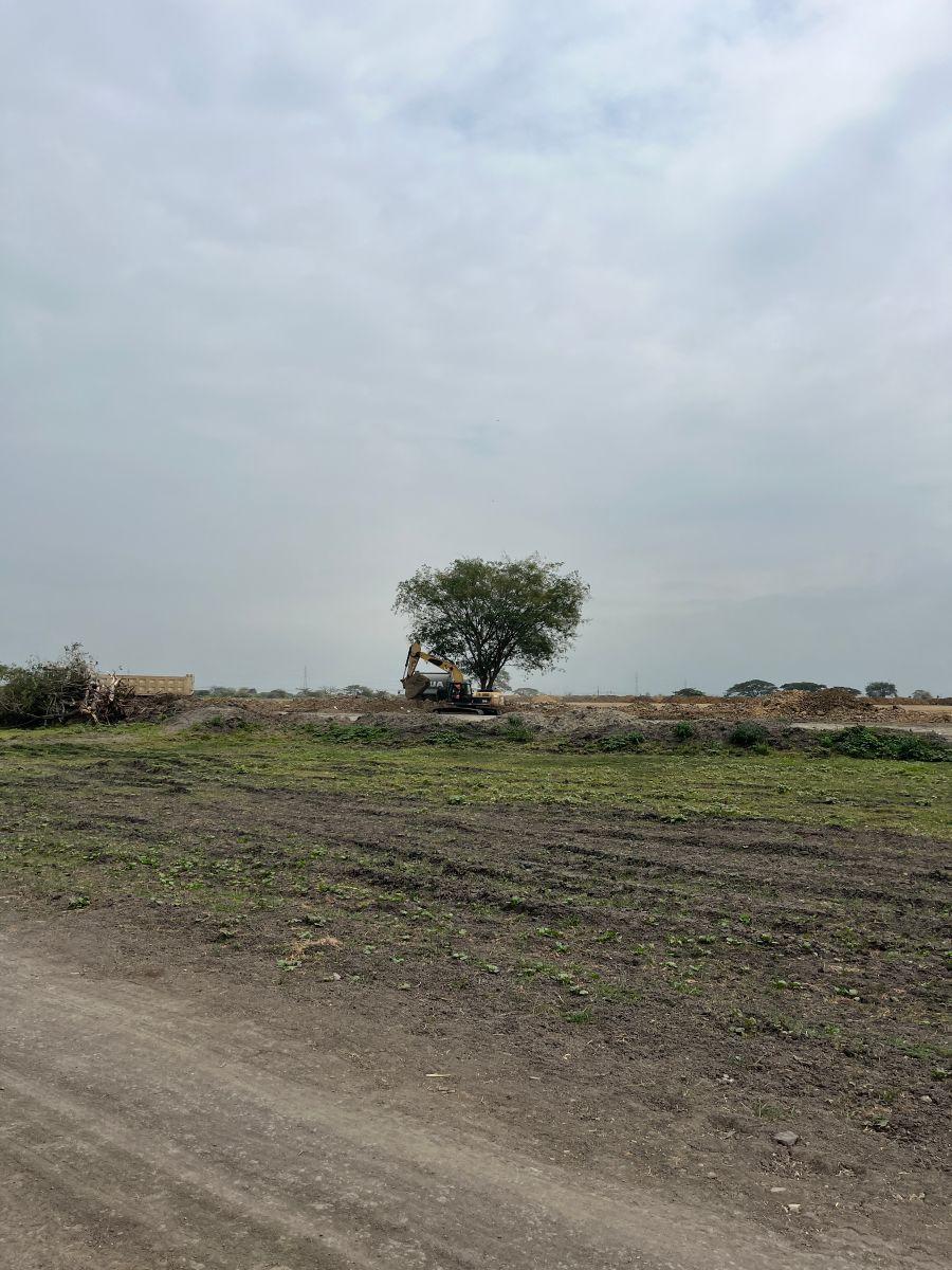 Terreno Vía Al Pan Junto a Zentra Numa, Guayas — imagen 7