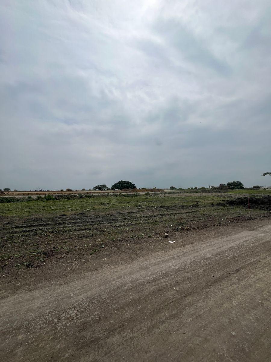 Terreno Vía Al Pan Junto a Zentra Numa, Guayas — imagen 5