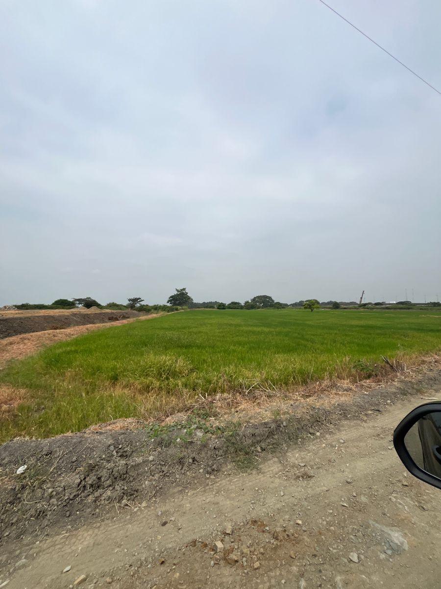 Terreno Vía Al Pan Junto a Zentra Numa, Guayas — imagen 4