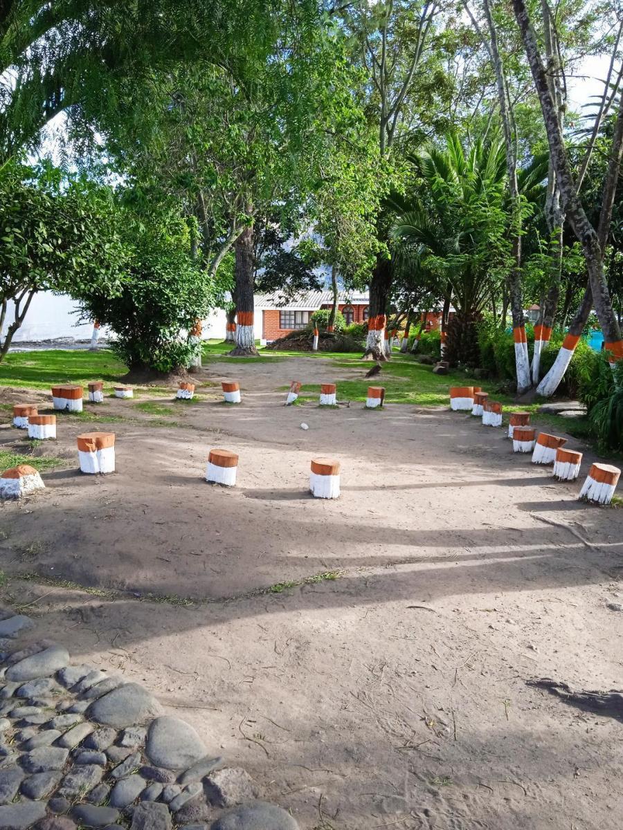 Terreno Ideal Para Proyectos Inmobiliarios, Excelente Ubicación — imagen 9