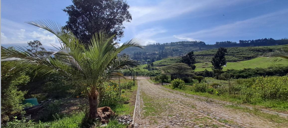 Terreno de Venta Ilalo 2.579 m $387.00 — imagen 10