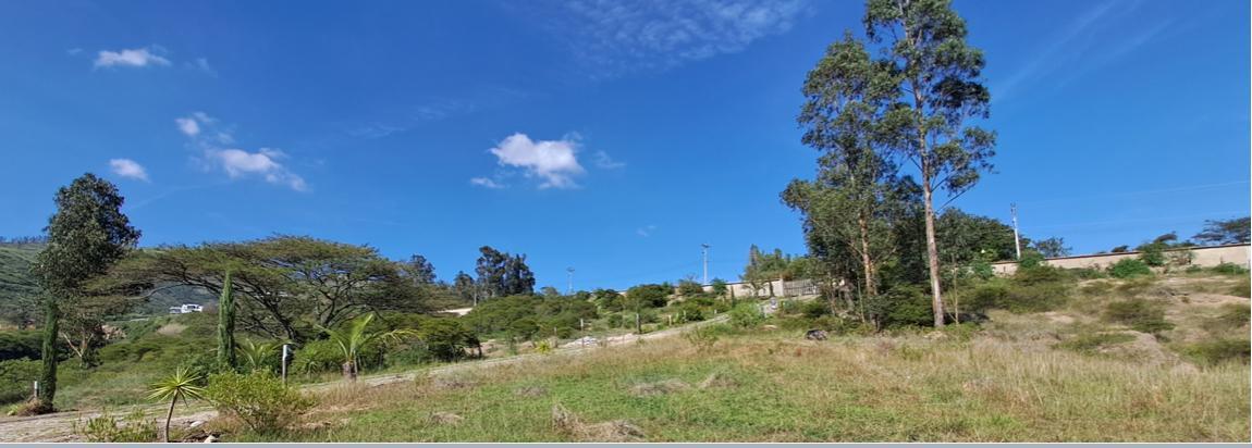 Terreno de Venta Ilalo 2.579 m $387.00 — imagen 9