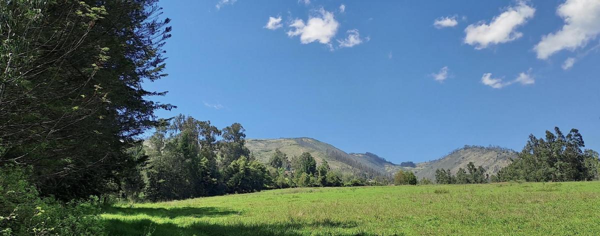 Terreno de Venta Ilalo 2.579 m $387.00 — imagen 8