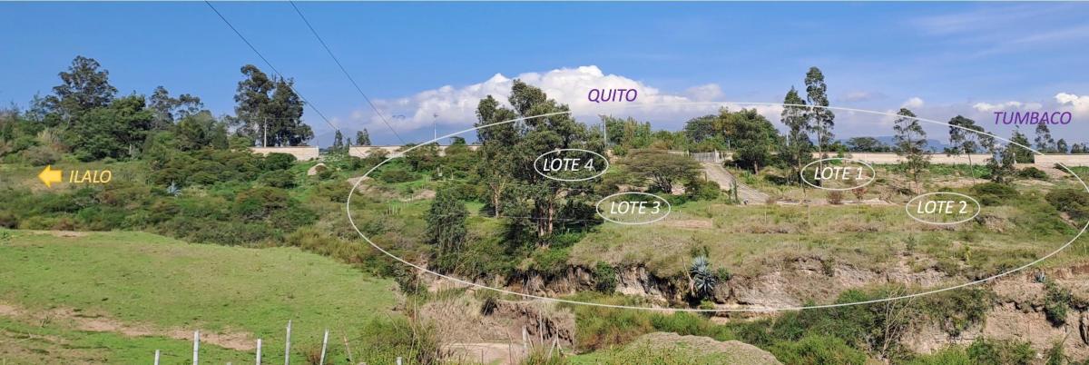 Terreno de Venta Ilalo 2.579 m $387.00 — imagen 7
