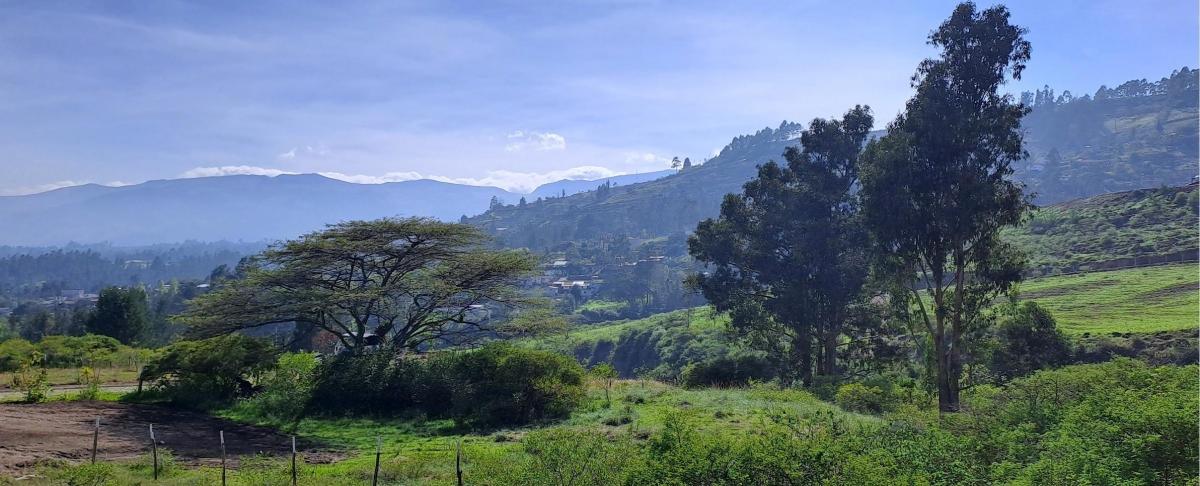 Terreno de Venta Ilalo 2.579 m $387.00 — imagen 6