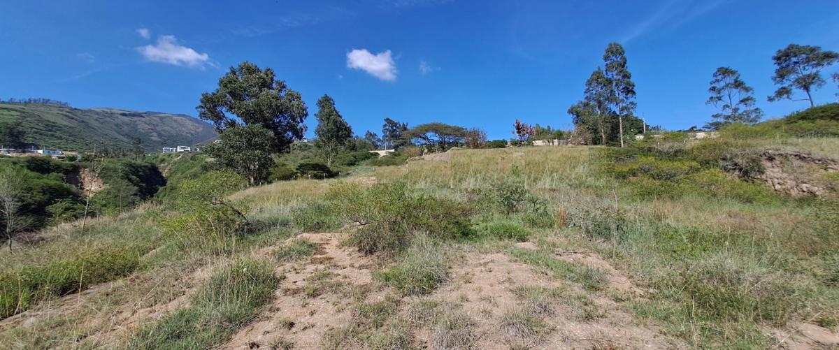 Terreno de Venta Ilalo 2.579 m $387.00 — imagen 5