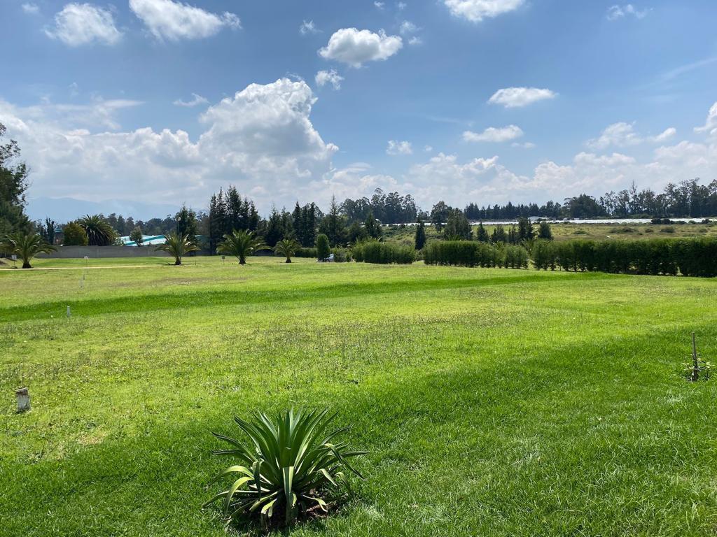 Vendo Terreno en Puembo Cerca a Einstein — imagen 9