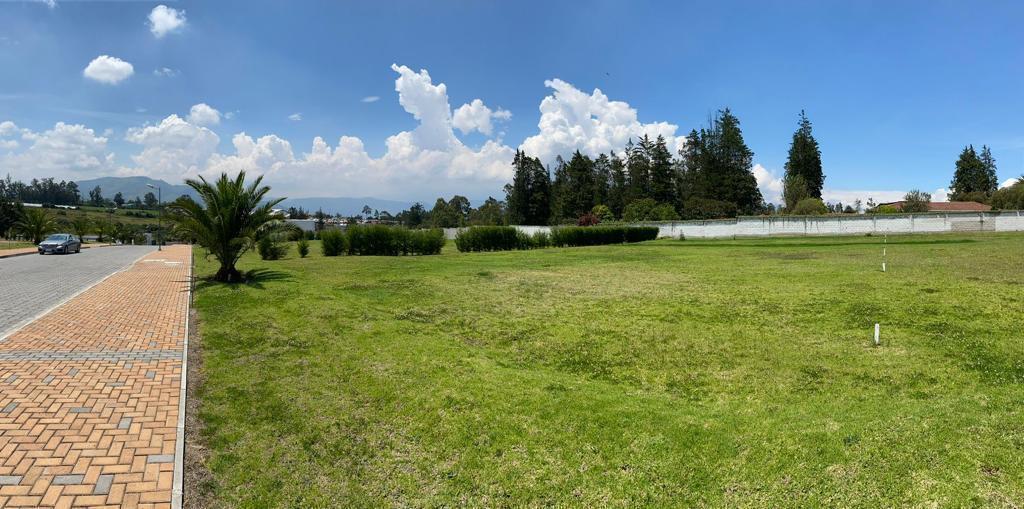 Vendo Terreno en Puembo Cerca a Einstein — imagen 7