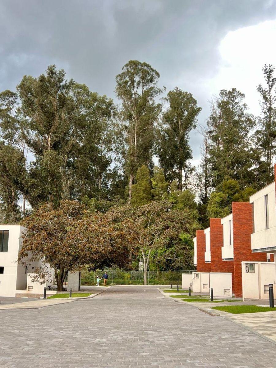 Ultima Casa Venta Sector Tumbaco* Excelente Ubicación a Seis Minutos de La Ruta Viva — imagen 4