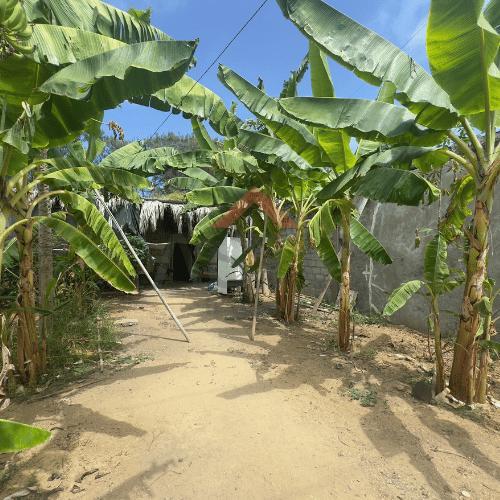 Se Vende Terreno en Playas Km 8.5 Vía a Data, Guayas — imagen 3