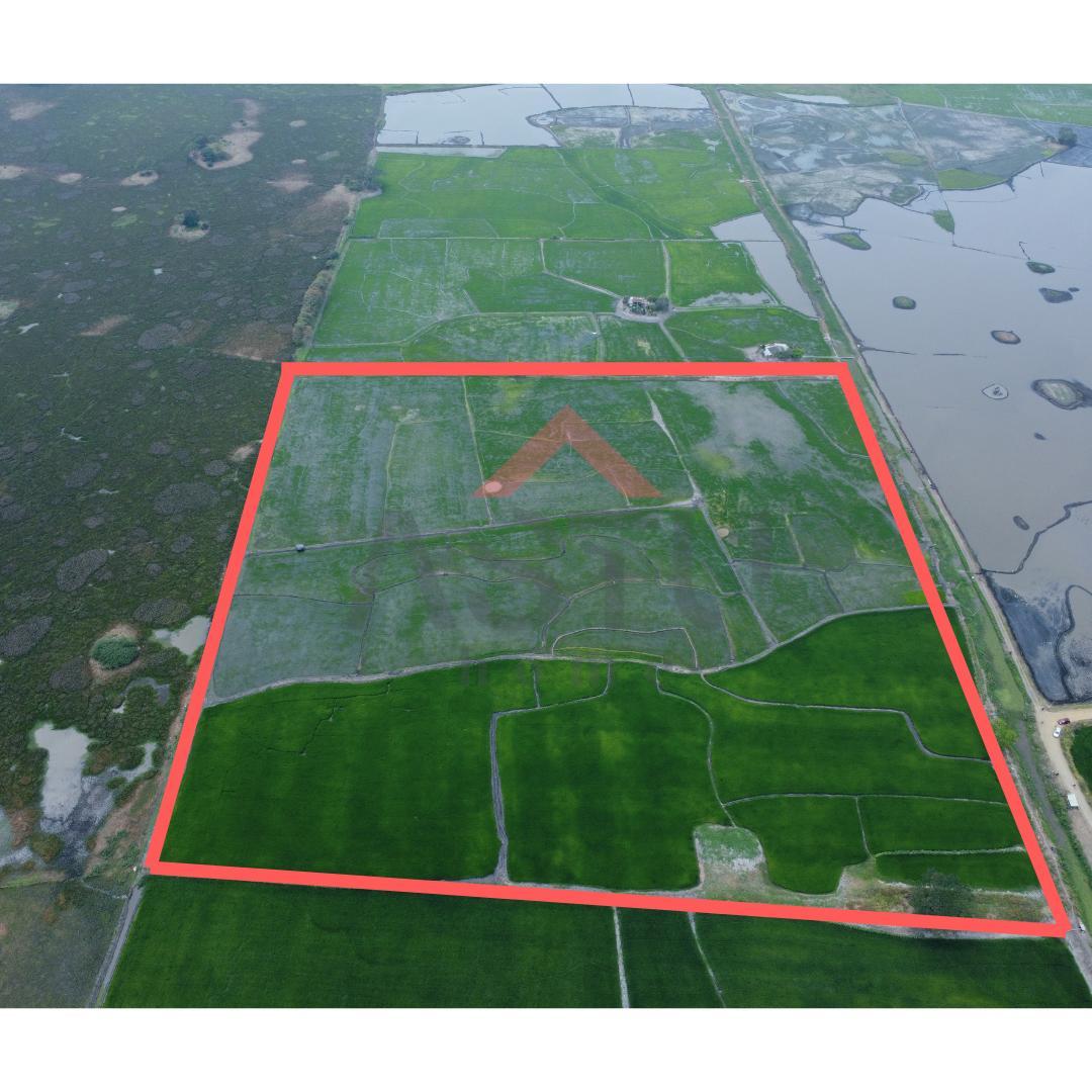 Se Vende Terreno en Km 15 Vía Salitre, Guayas — imagen 6