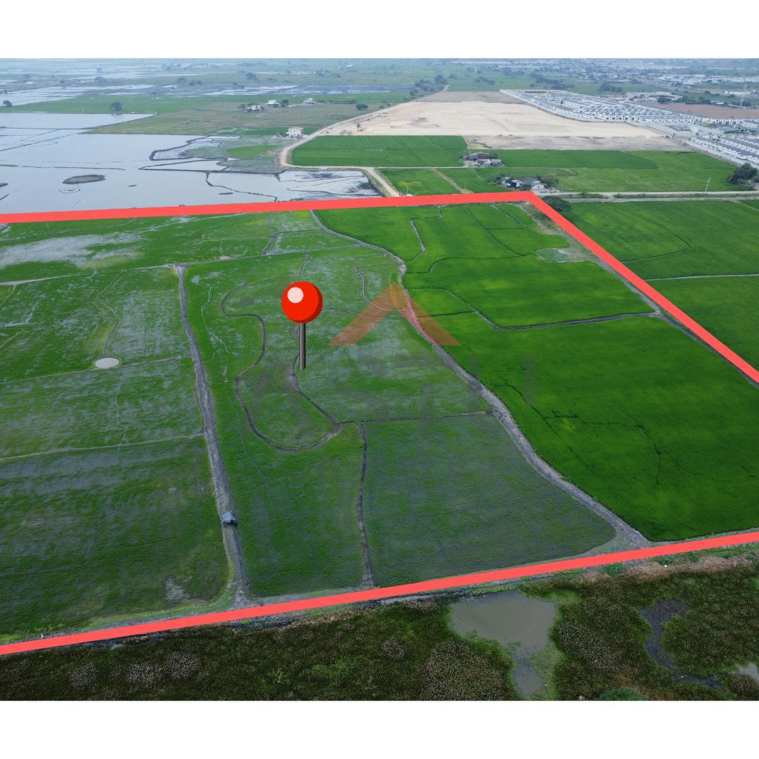 Se Vende Terreno en Km 15 Vía Salitre, Guayas — imagen 4
