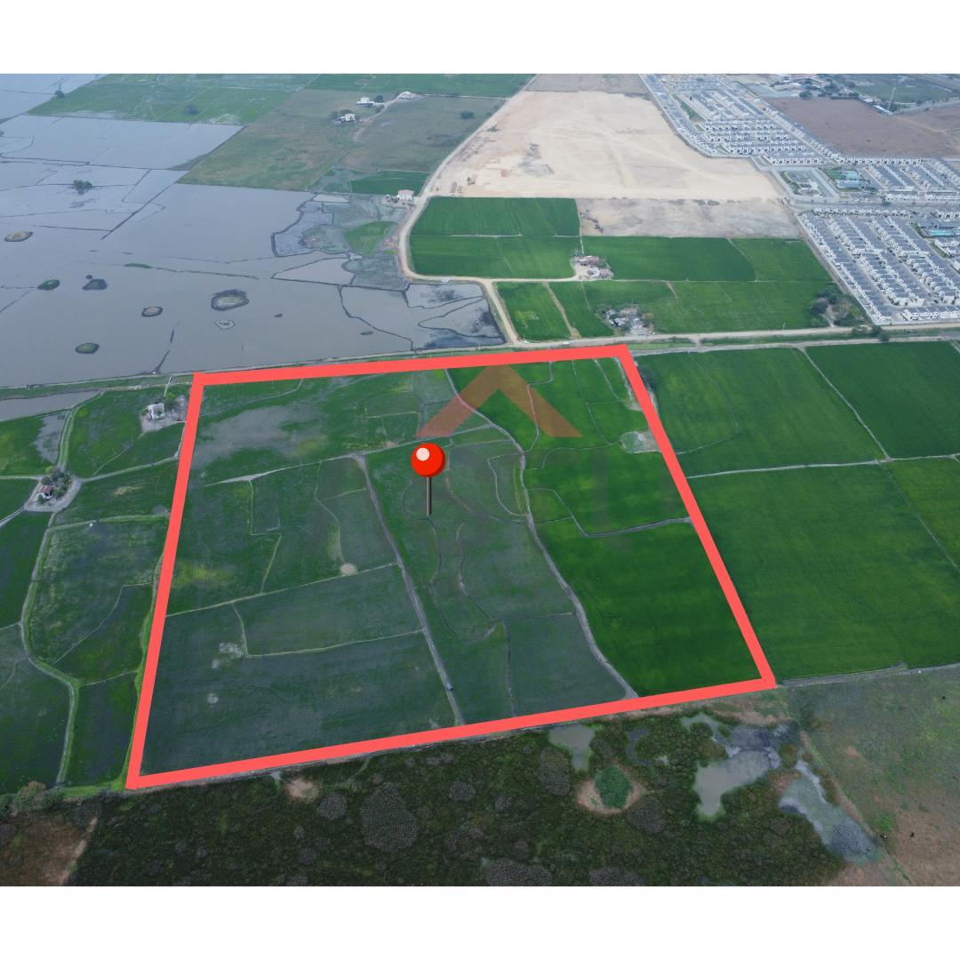 Se Vende Terreno en Km 15 Vía Salitre, Guayas — imagen 3