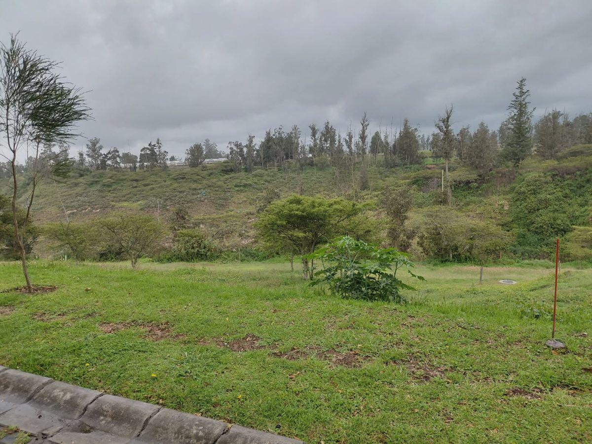 Terrenos en Venta Dentro de Pakakuna Gardens - Sector Checa — imagen 3