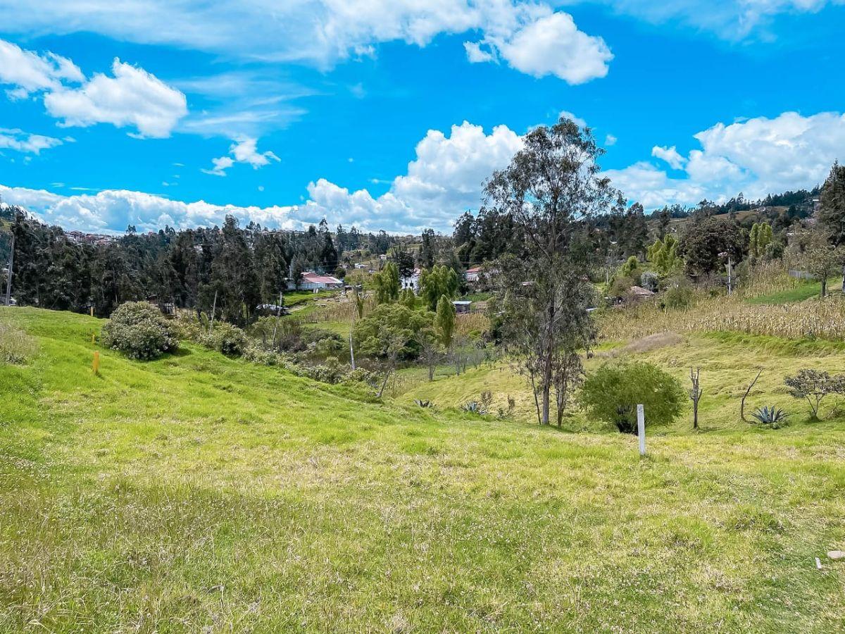 ¡Oportunidad Única! Terreno en Paccha a $110.000, Azuay — imagen 10