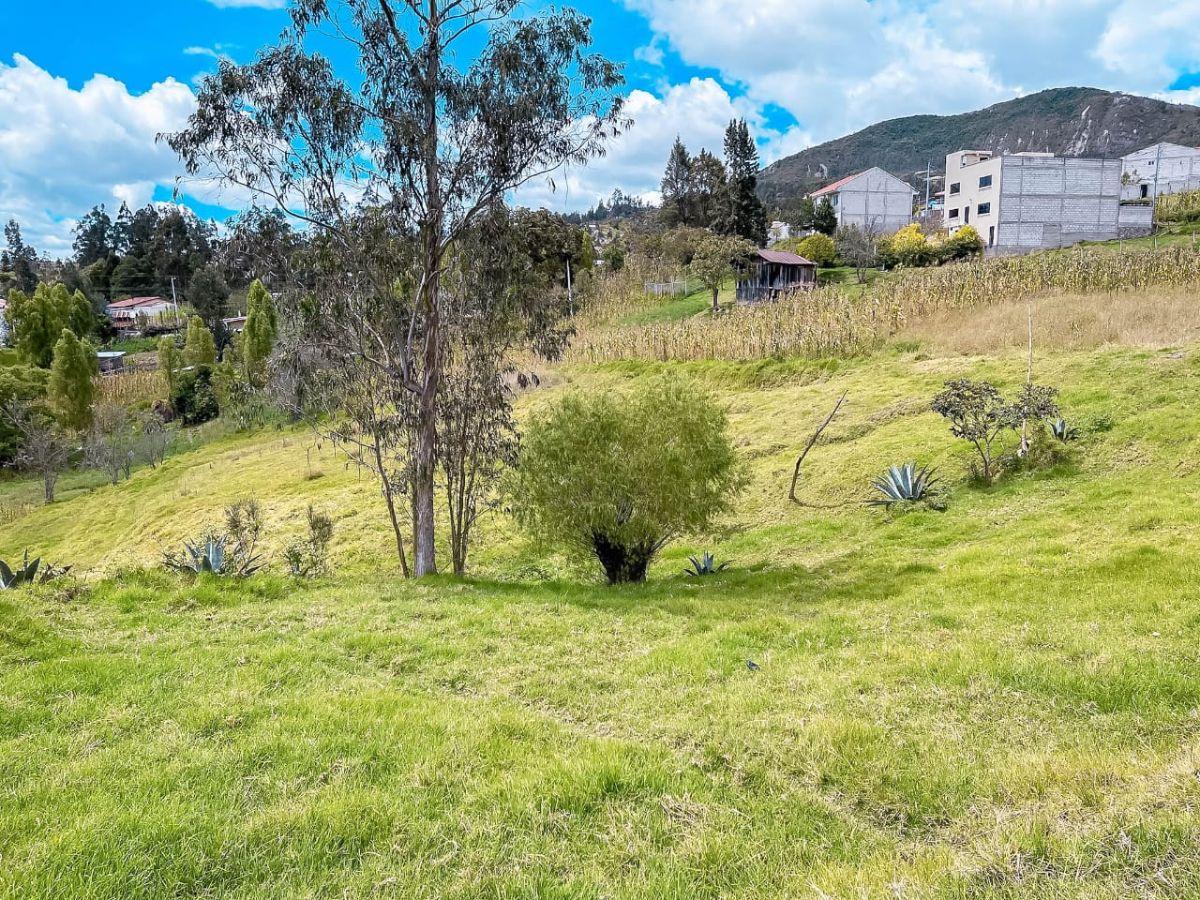 ¡Oportunidad Única! Terreno en Paccha a $110.000, Azuay — imagen 8