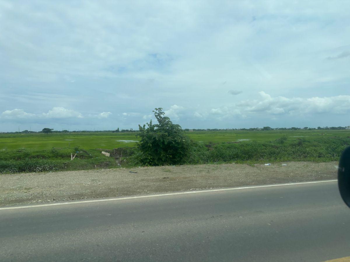 Vendo Terreno 4 Hectáreas Nuevo Samborondón Ave Ronald Sonne, Comercial - Industrial de Bajo Impacto, Guayas — imagen 7