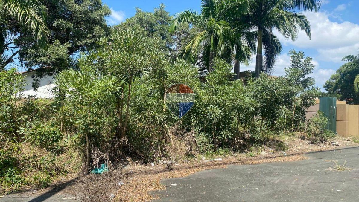 Terrenos Comerciales en Venta, Vía a La Costa | A. Berrones, Guayas — imagen 3