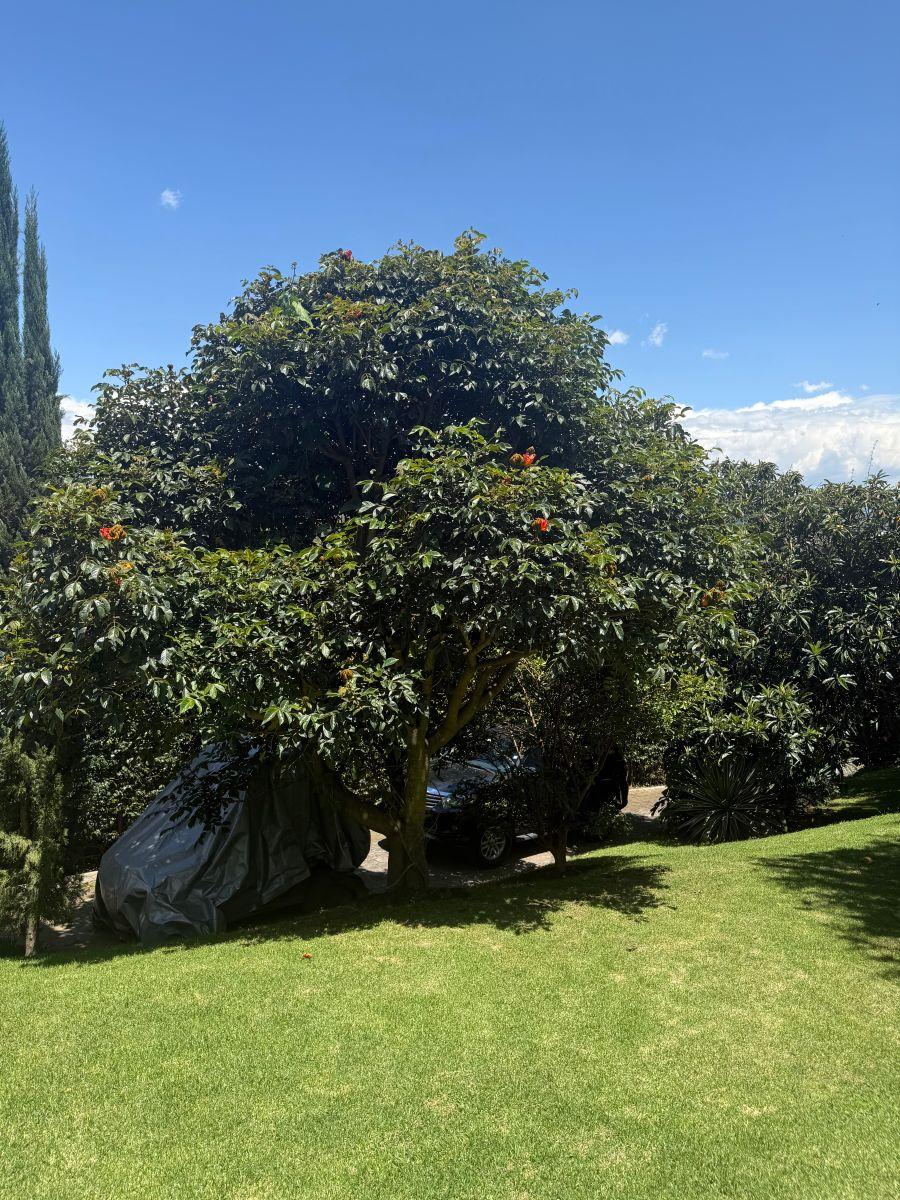 Vendo Excelente Casa Sector Reservorio Cumbaya — imagen 10