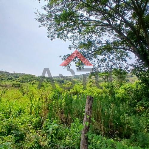 Se Vende Terreno Sector Las Lojas. Guayas — imagen 5