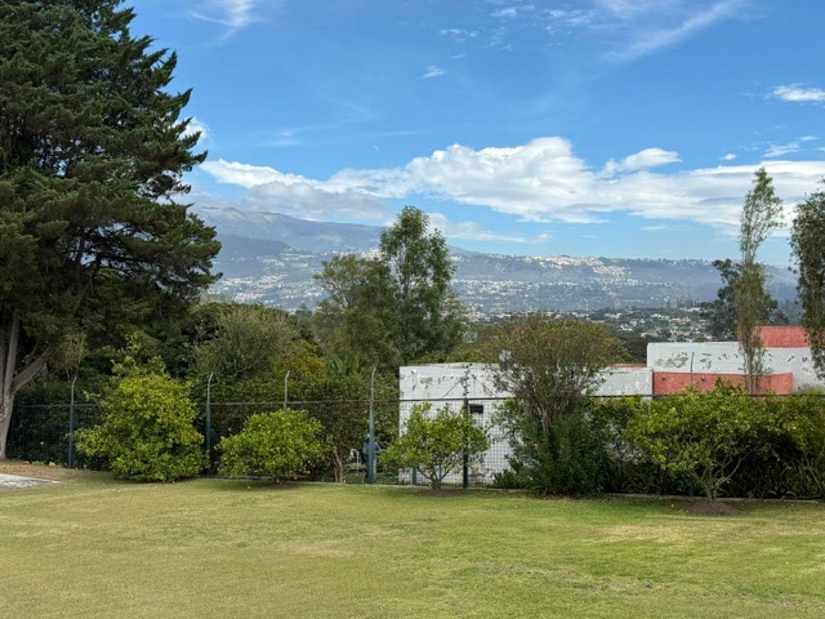 Vendo Terreno con Casa Tumbaco Cerca Al Colegio Cervantes, Sector La Esperanza con Porton de Ingreso — imagen 8