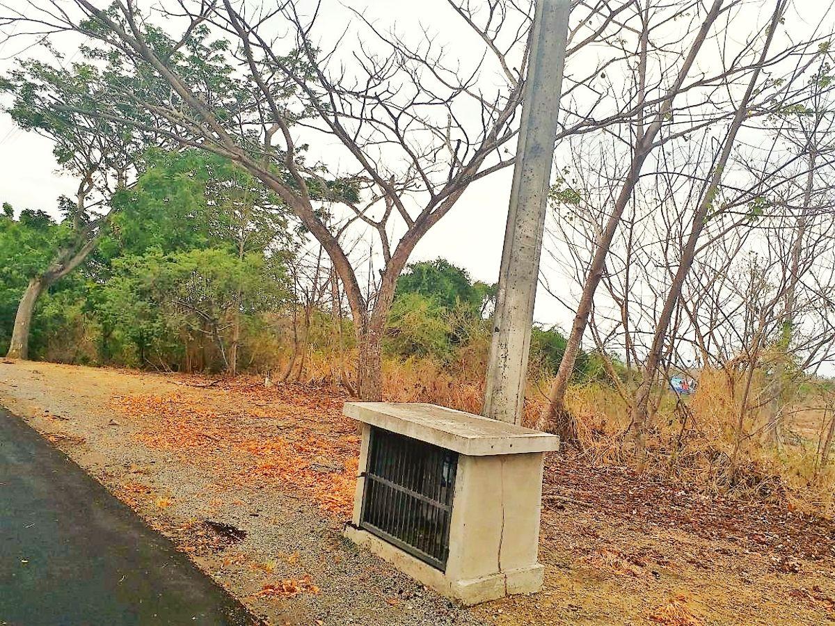 Terreno Uso de Suelo Comercial Lomas del Bosque, Guayas — imagen 10