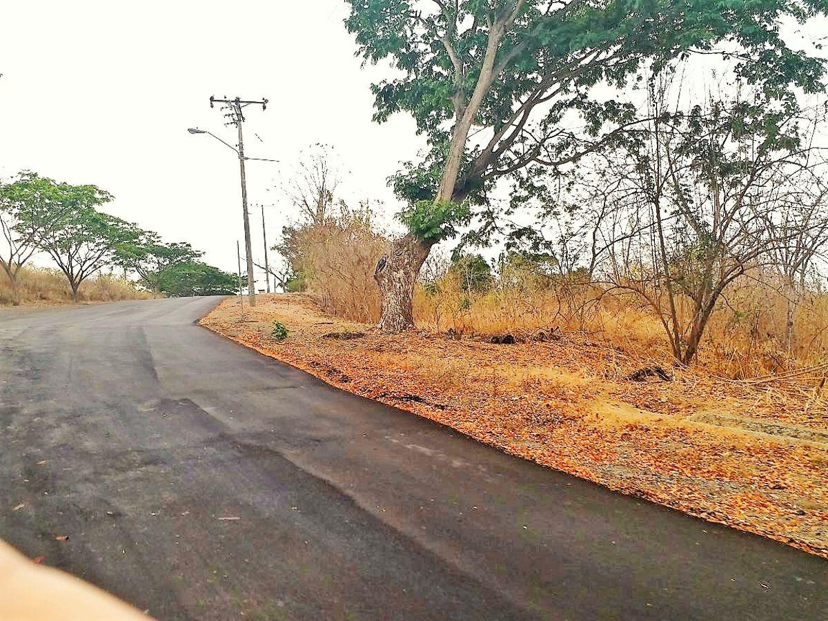 Terreno Uso de Suelo Comercial Lomas del Bosque, Guayas — imagen 9