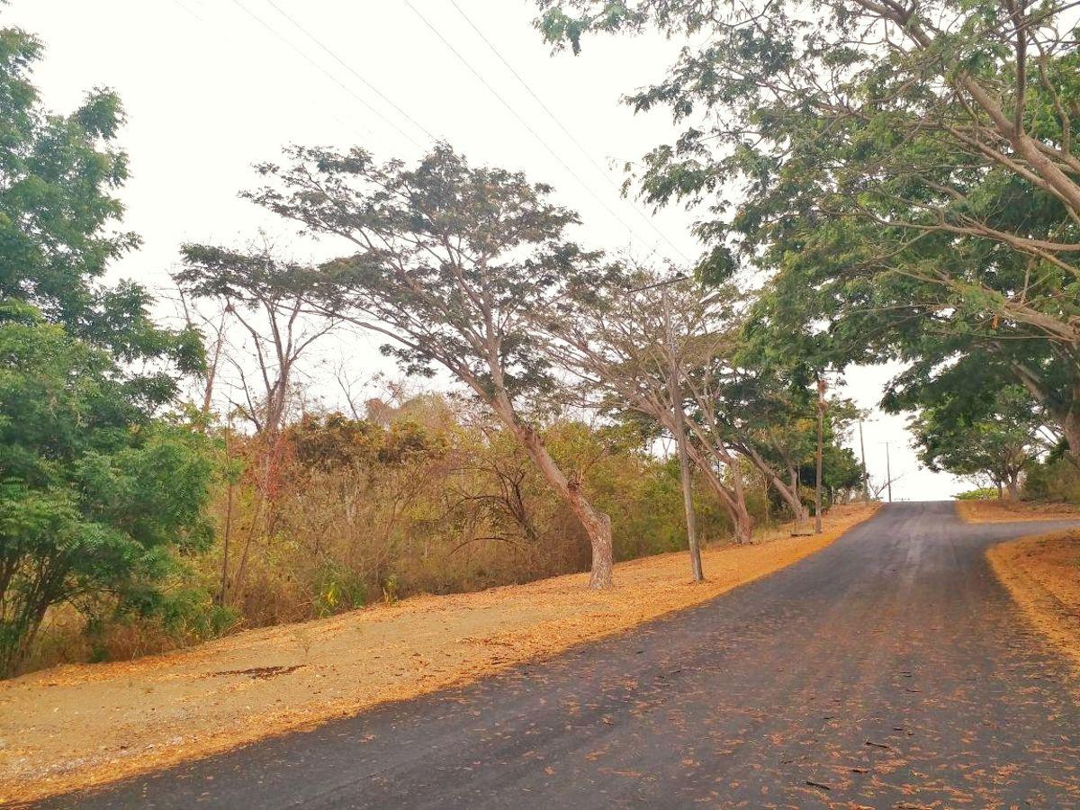 Terreno Uso de Suelo Comercial Lomas del Bosque, Guayas — imagen 8