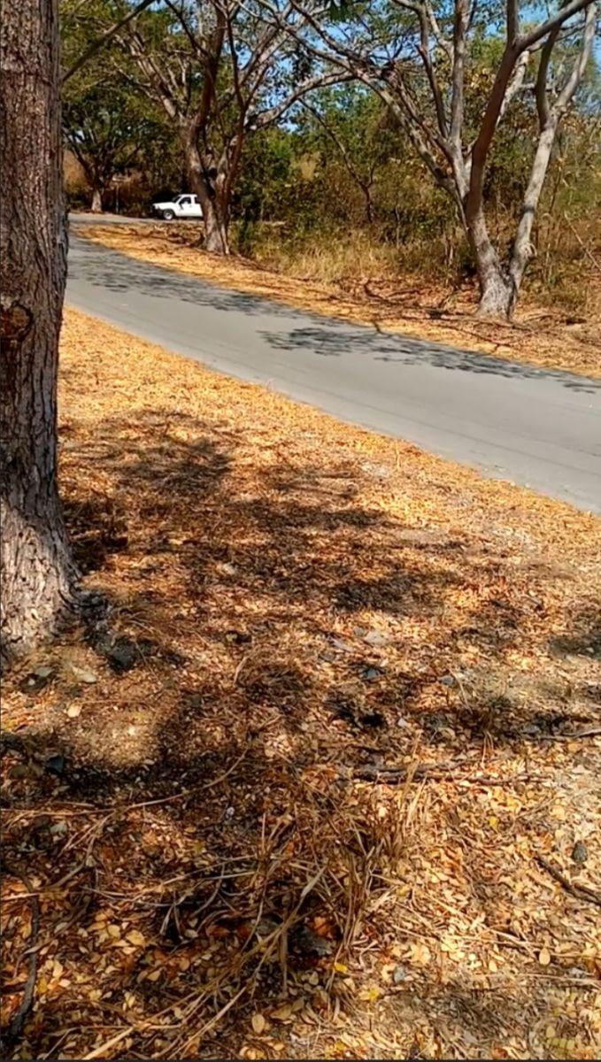 Terreno Uso de Suelo Comercial Lomas del Bosque, Guayas — imagen 6