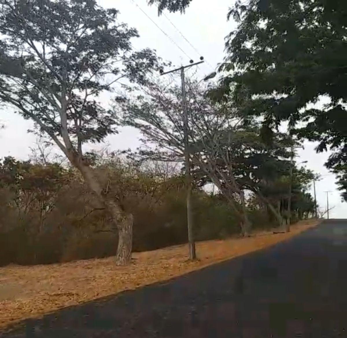 Terreno Uso de Suelo Comercial Lomas del Bosque, Guayas — imagen 5