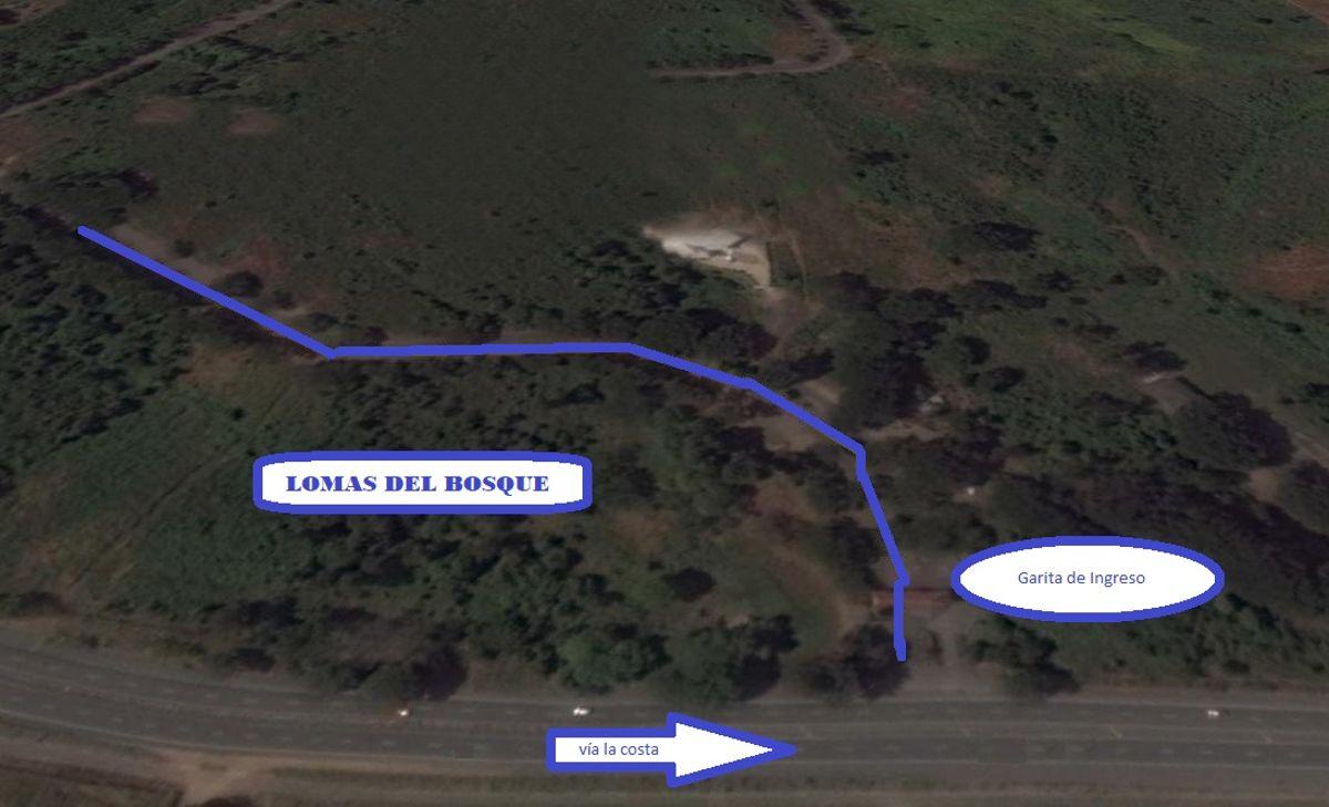 Terreno Uso de Suelo Comercial Lomas del Bosque, Guayas — imagen 4