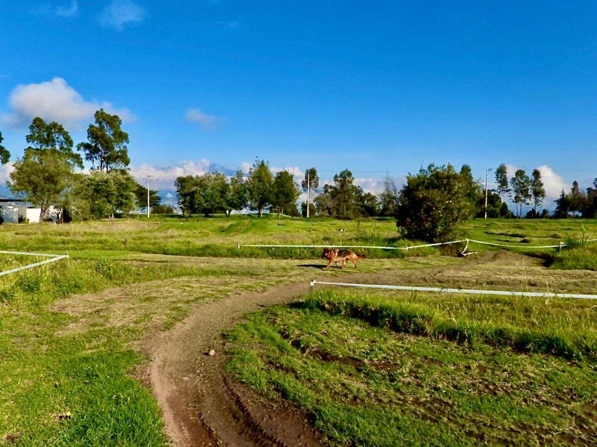 Excelente Terreno Plano en Pifo Conjunto Cerrado Excelente Vista — imagen 6